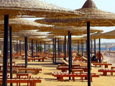 Forest of umbrellas sandy beach holiday