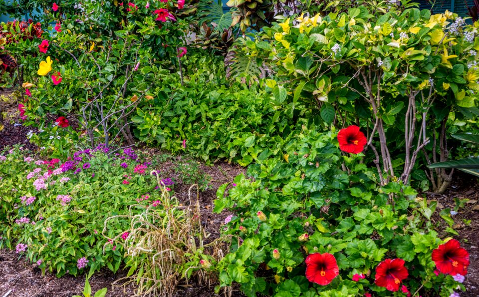 Green nature red