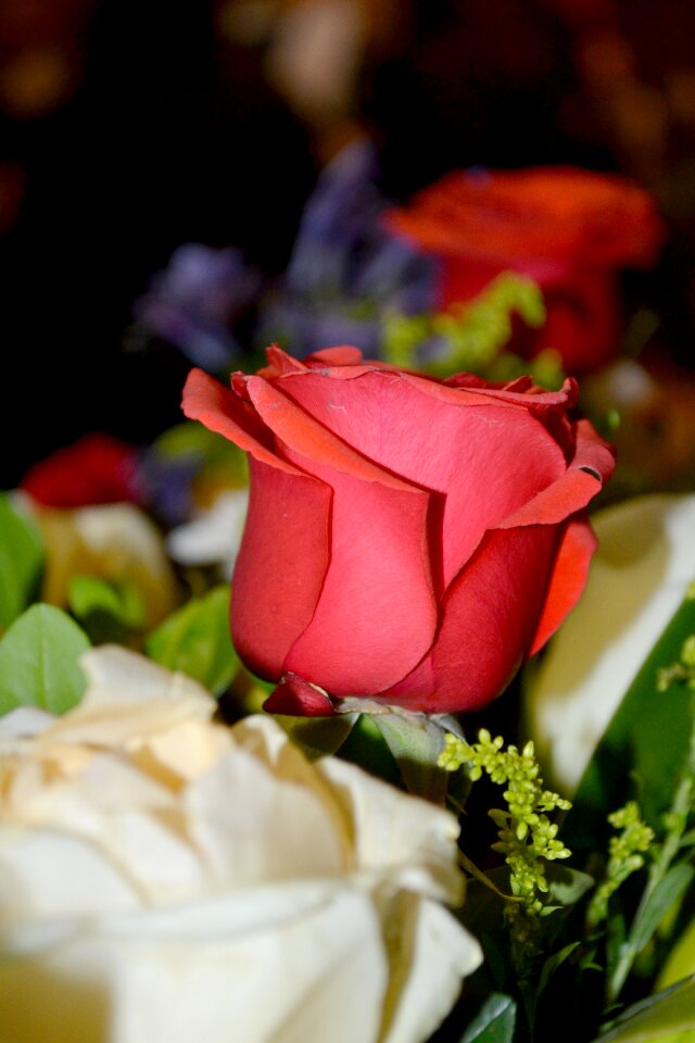 Trim flower arrangement pink