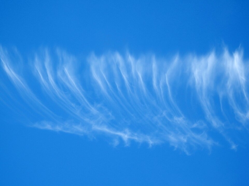 Nice weather blue sky summer