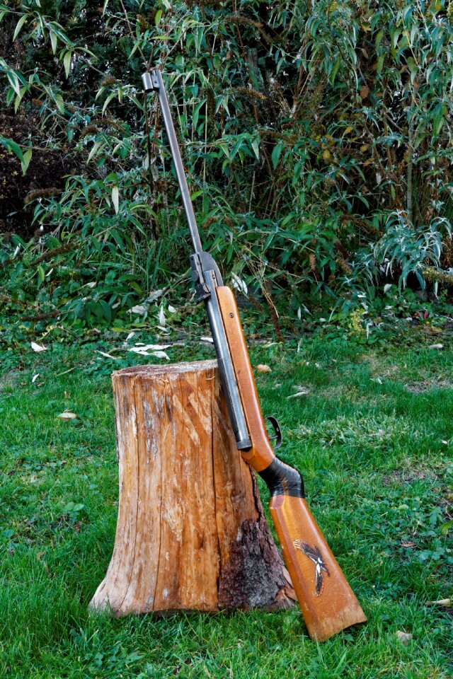 Objectives shooting sports air pressure gun