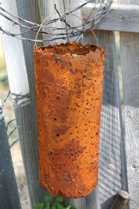 Summer nature fence