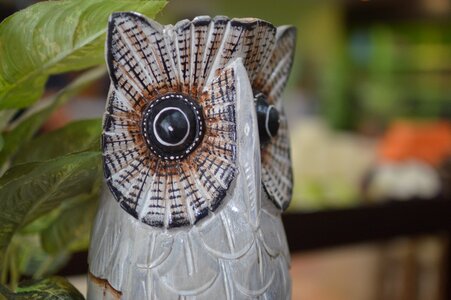 Owl souvenirs gift