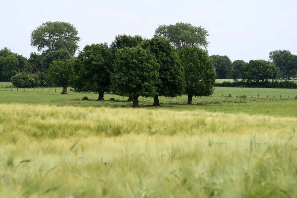 Nature arable fields