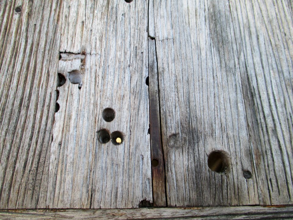 Wood boards board