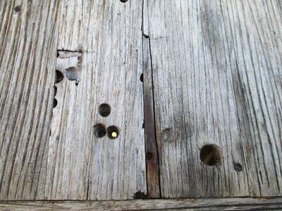 Wood boards board