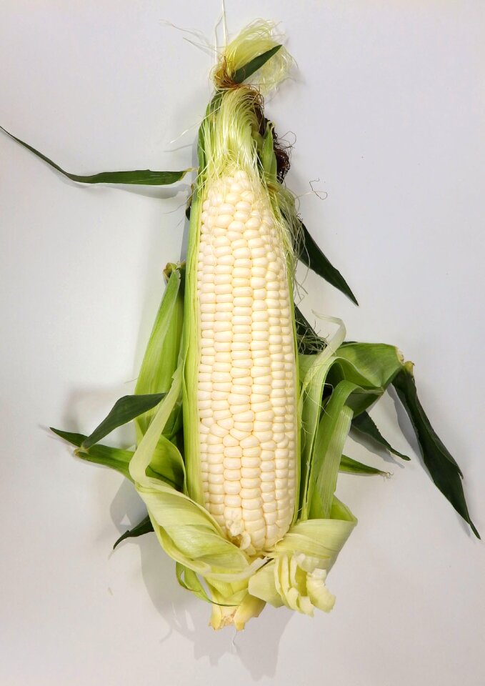 Food corn cone