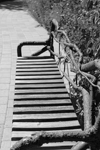 Botanical garden park bench park