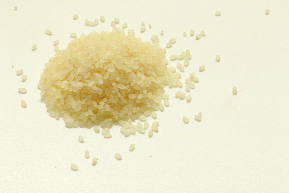 Rice milling rookie koshihikari rice