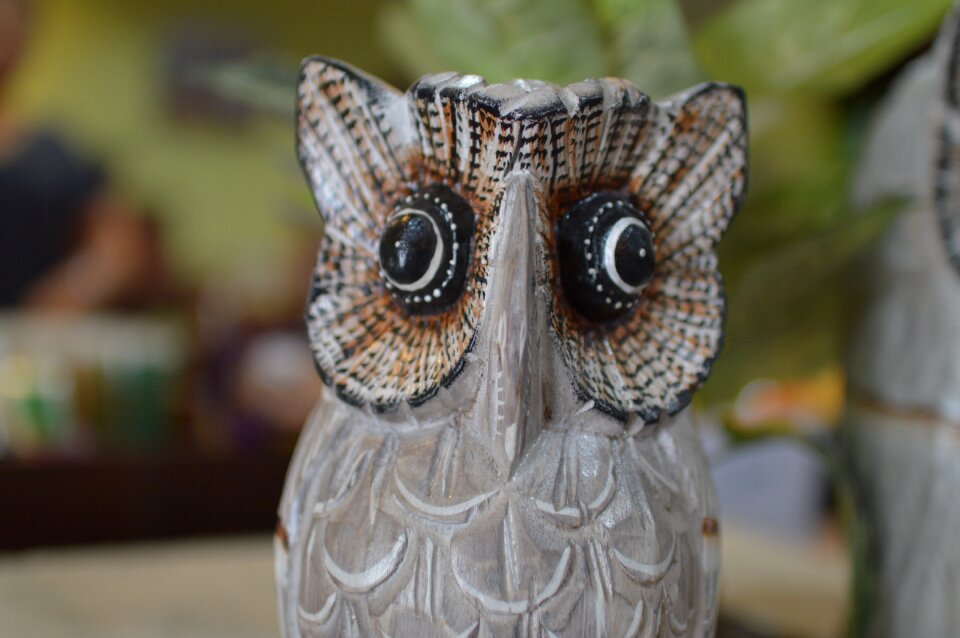 Owl gift souvenirs