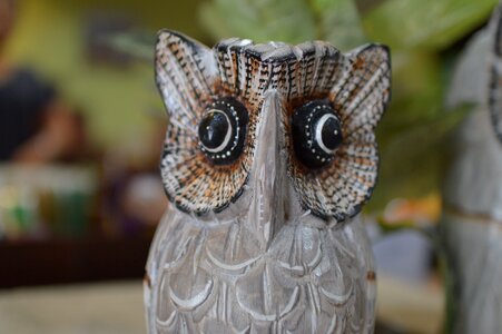 Owl gift souvenirs photo