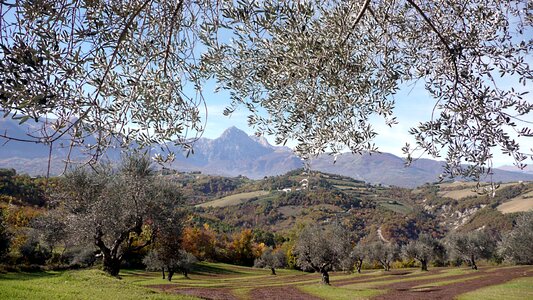 Nature scenic countryside