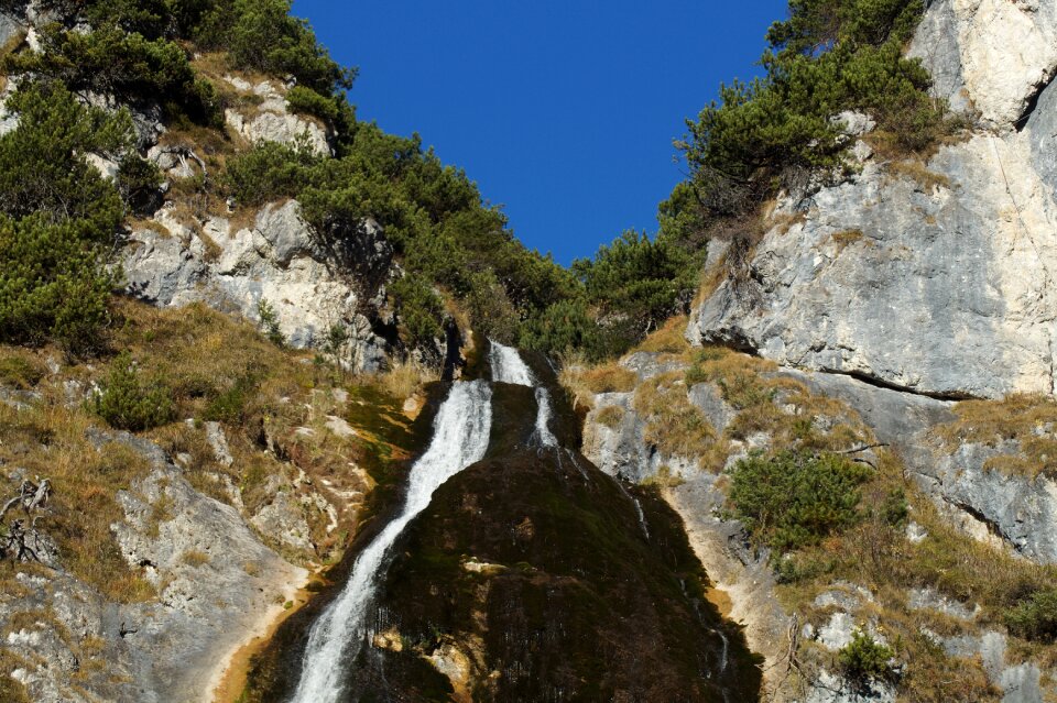 Flow bach murmur