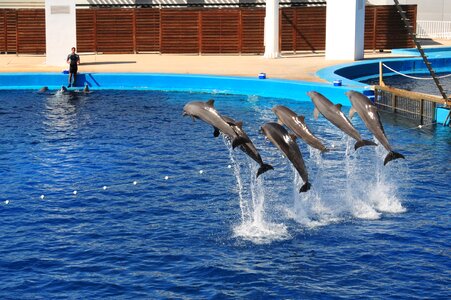 Valencia jump