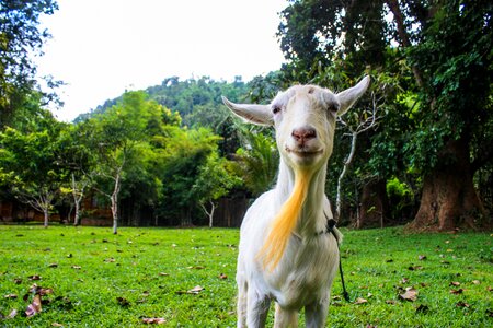 Nature outdoor funny