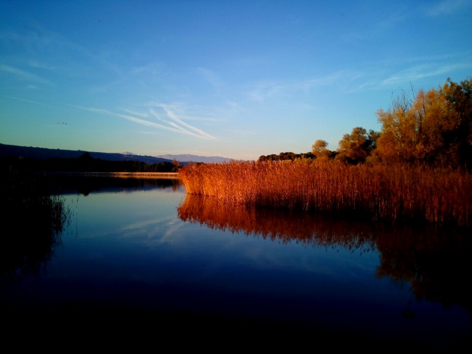 Water laguna nature