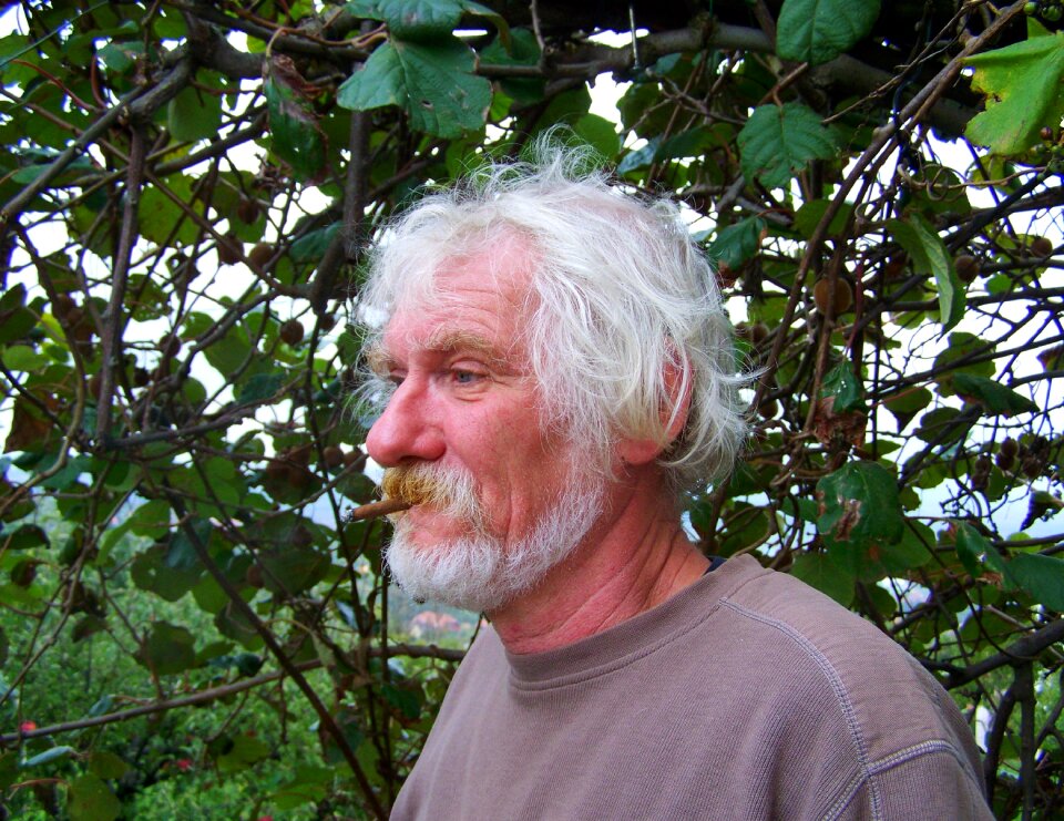 Old man fall hair portrait