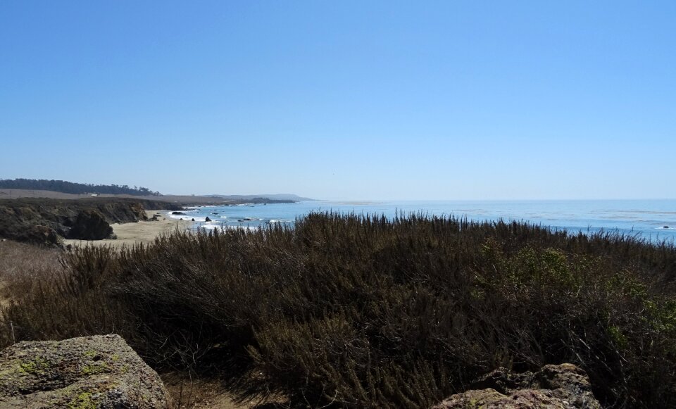 Coast beach san simeon