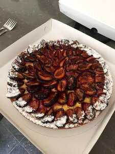 Plums fresh party