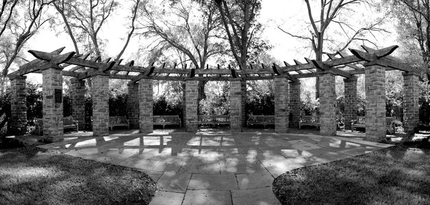 Benches park bench columns photo