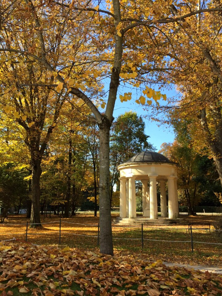 Fall season forest photo