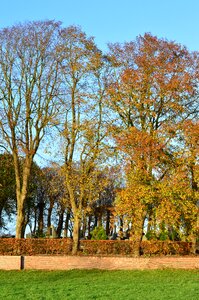 Mood sky leaves in the autumn