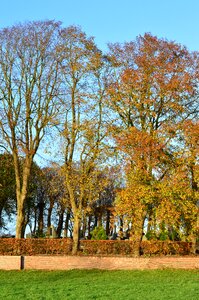 Mood sky leaves in the autumn photo