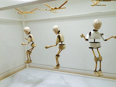 Doll exhibition wood doll