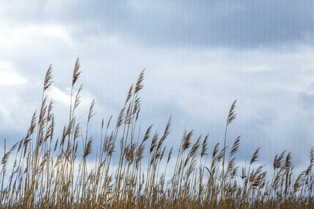 Lake clouds sky photo