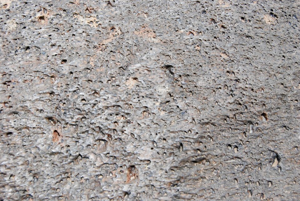 Pumus volcanic rock