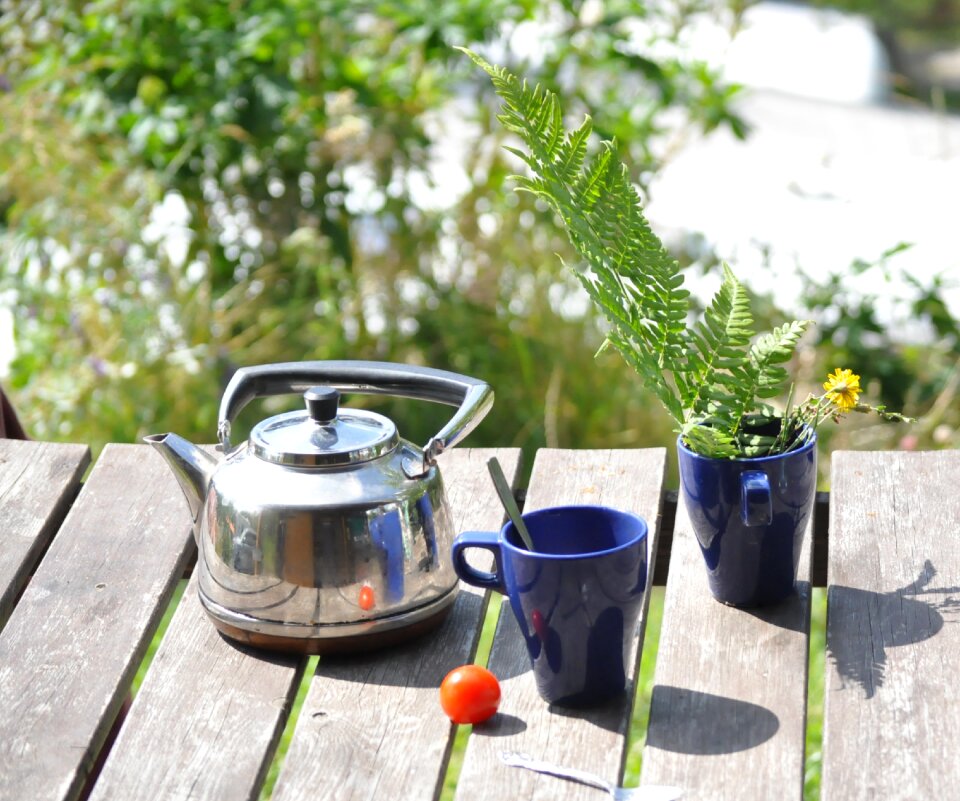 Teapot nature picnic