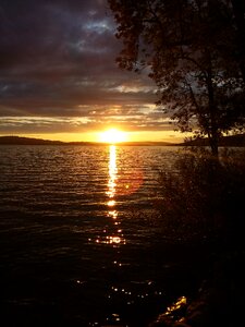 Nightfall nature lights