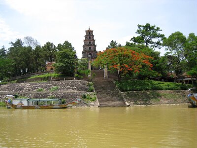 Pagoda tree viet nam photo