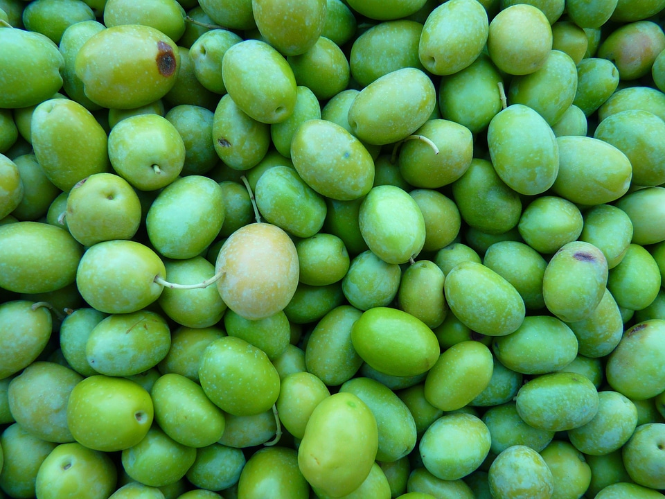 Fruits mediterranean drupe drupes