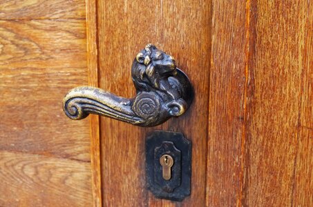 Iron old door