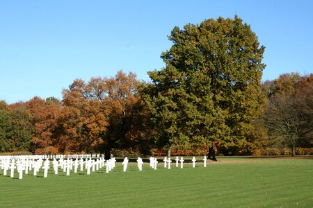 Cemetery america november