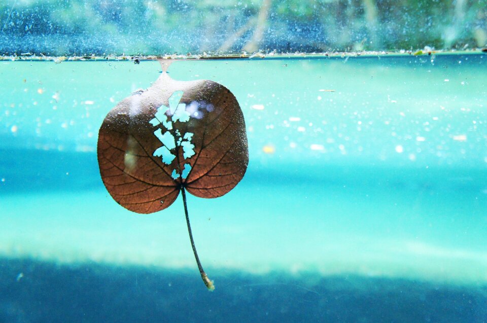 Natural under water
