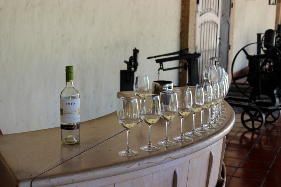 Glass of wine white wine glass of white wine