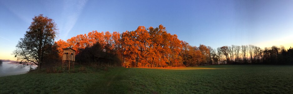 Morgenstimmung panorama fall foliage