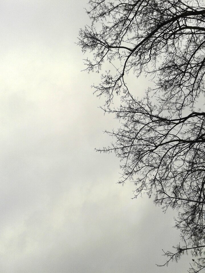 Storm the sky clear