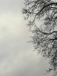 Storm the sky clear