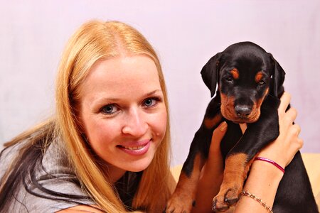 Pets animal canine