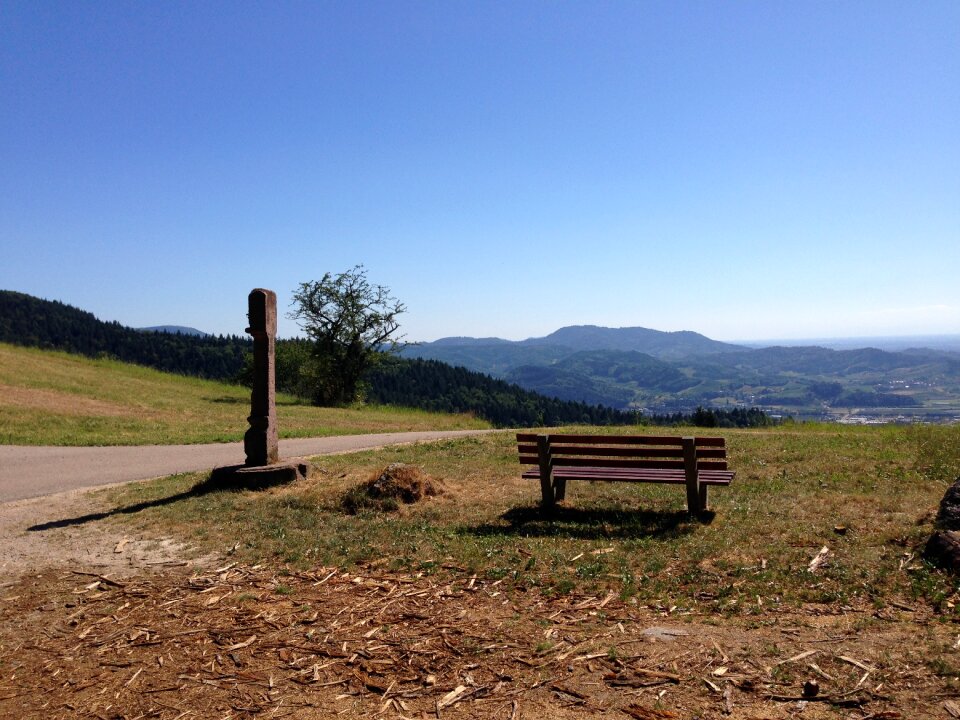 Black forest bank nature