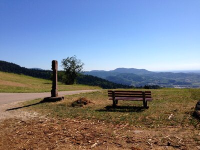 Black forest bank nature
