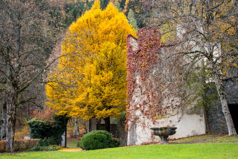 Parks parklandschaft schloss bruck