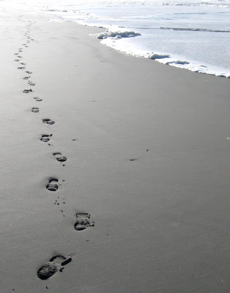 Beach waterfront sea