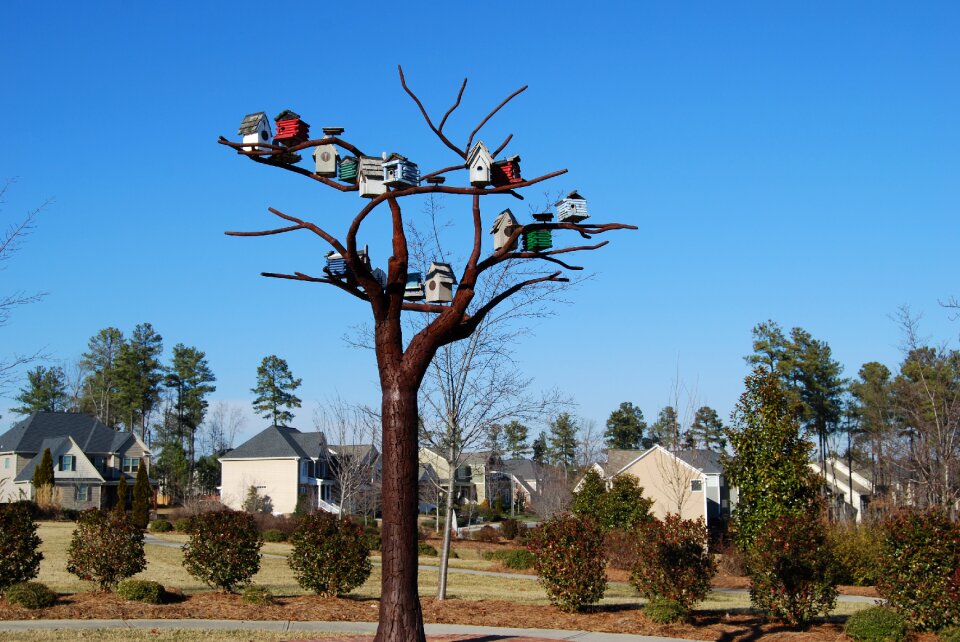 Sculpture north carolina