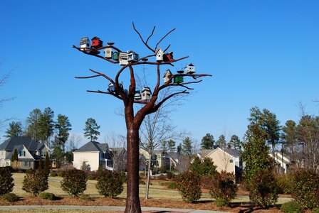 Sculpture north carolina