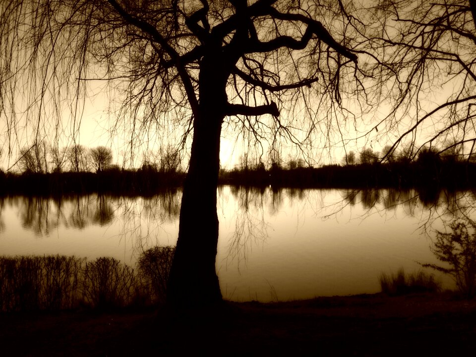 Lake shadow abendstimmung