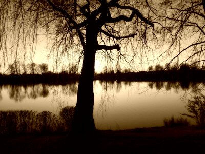 Lake shadow abendstimmung